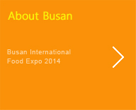 About Busan